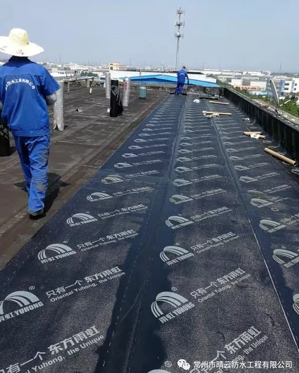 QQ截圖20191014101620.png QQ截圖20191014101620.png